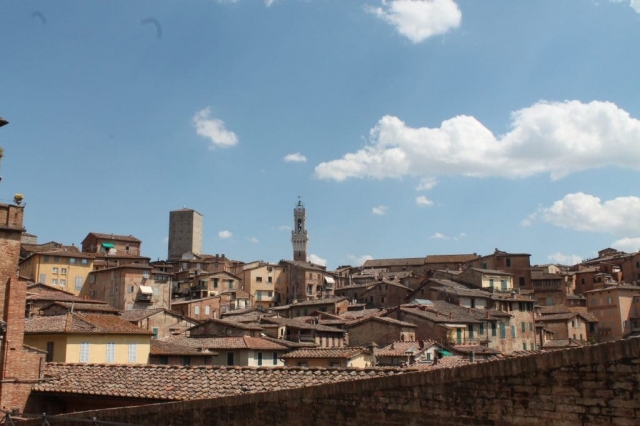 Les toits de Sienne Les toits de Sienne