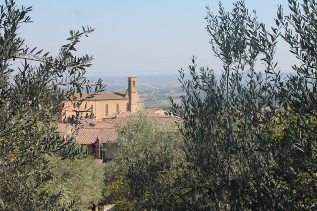 la campagne depuis San gimigniano la campagne depuis San gimigniano