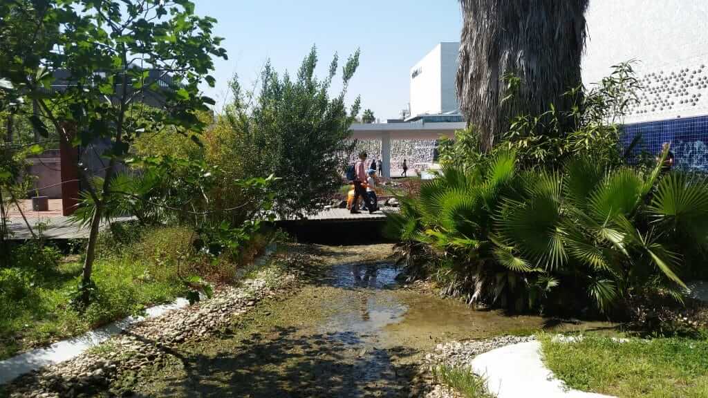 jardin de l'eau le long de la promenade dans le parc des Nations