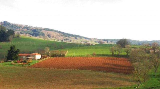 Aux trois sapins vue générale