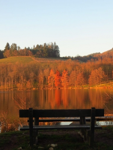 Banc à l'automne au lac des sapins