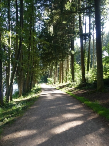 Chemin faisant le tour du lac des sapins