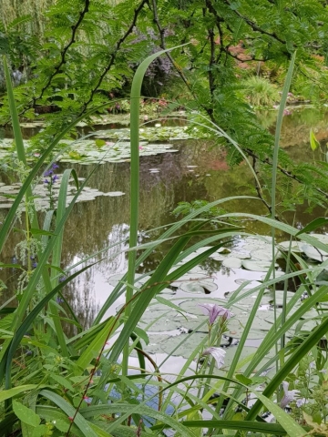 Jardin de Claude Monet à Giverny (9) Jardin de Claude Monet à Giverny