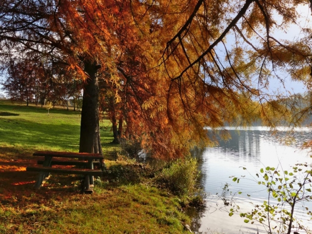 Les couleurs de l'automne au lac des sapins