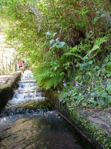 Randonnée Madère 25 fontaines levada