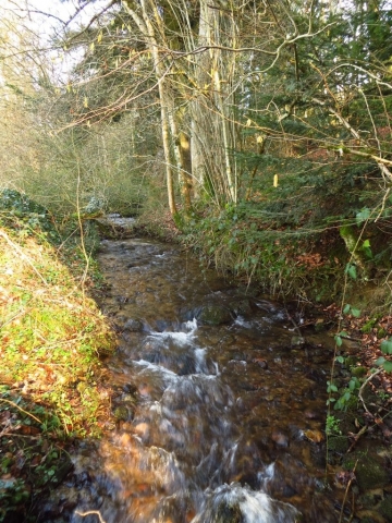 Ruisseau Tour par la Graviche