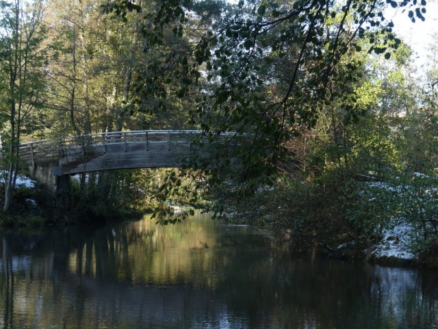 Un air de Claude Monet