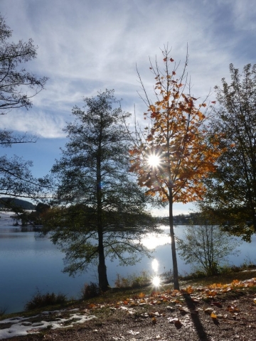 Une histoire de soleil au lac des sapins