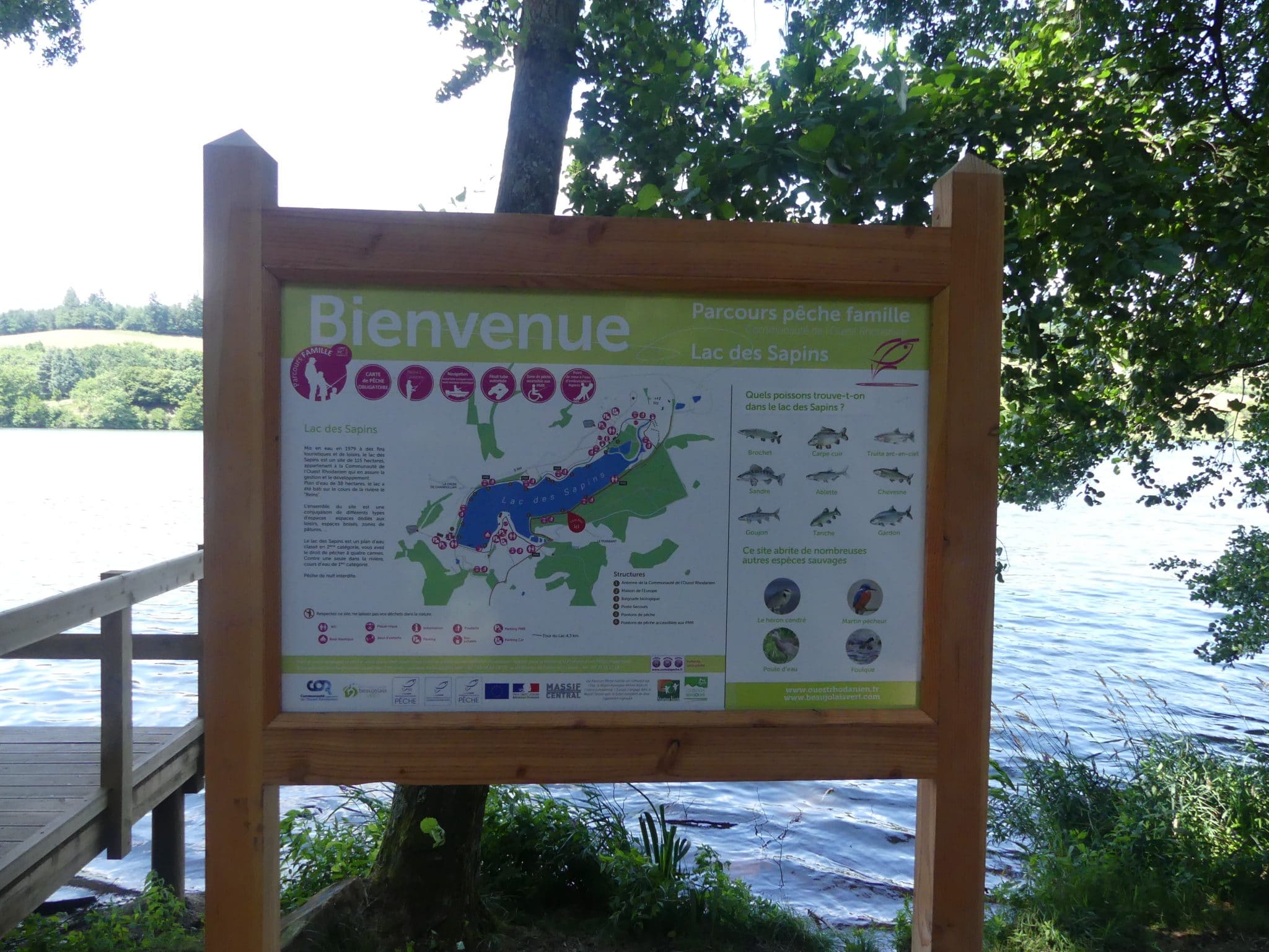 Les poissons que l'on peut pêcher dans le lac des sapins