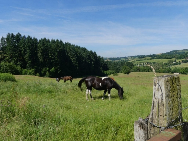 en redescendant vers le lac des sapins