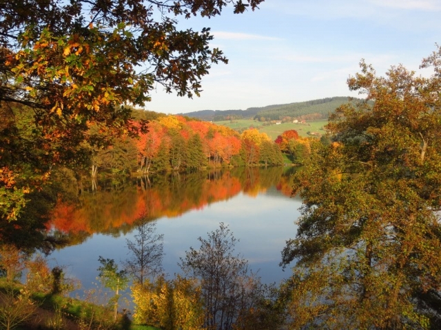 la palette des couleurs d'automne sur le lac des sapins