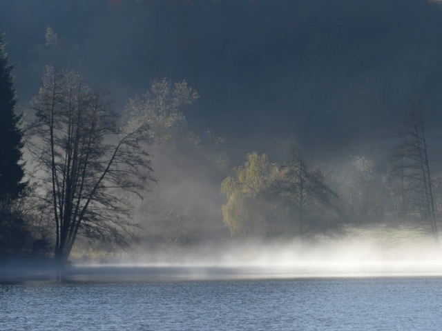 le lac des sapins dans la brume