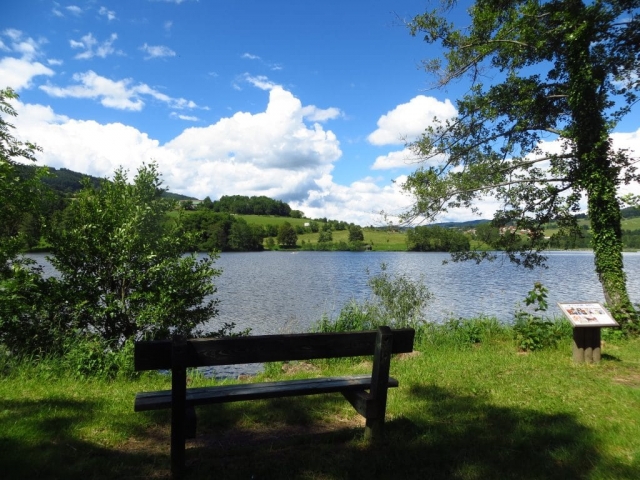 le long du lac des sapins