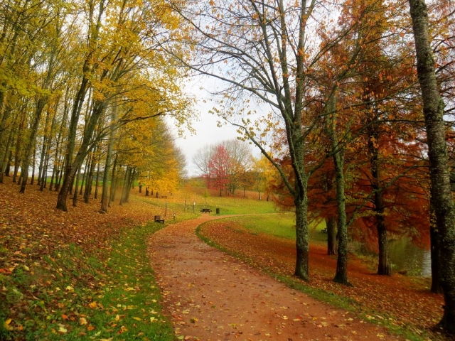 les couleurs de l'automne le long du chemin autour du lac des sapins