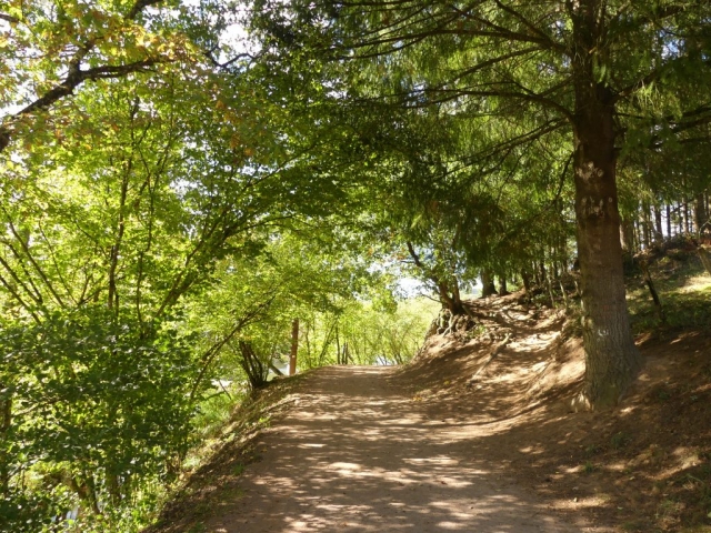 sur les chemins du lac des sapins