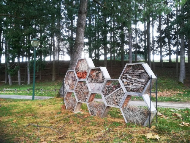 Hôtel à insectes Lac des sapins