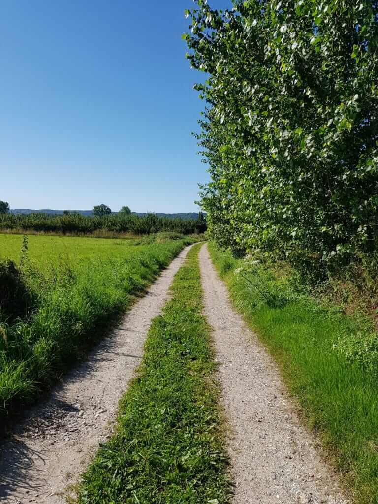 Chemin de terre randonnée Jumièges