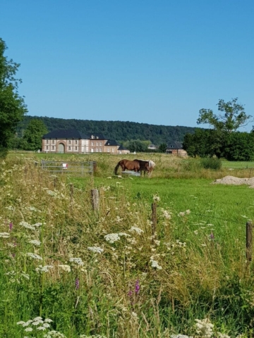 paysage randonnée Jumièges paysage randonnée Jumièges