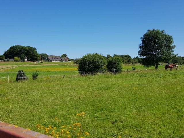 randonnée Jumièges paysage randonnée Jumièges paysage