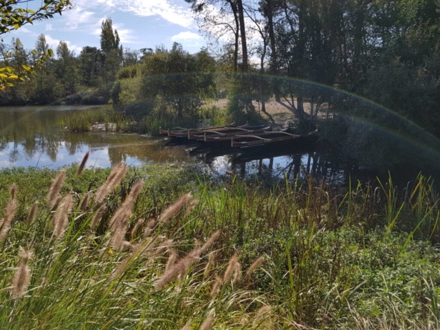 Aureilhan Jardin fleuri barque hawaïenne Aureilhan Jardin fleuri barque hawaïenne