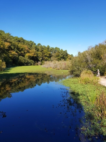 Aureilhan Jardin fleuri début Aureilhan Jardin fleuri début