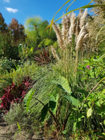 Jardin fleuri parterre bis Jardin fleuri parterre bis