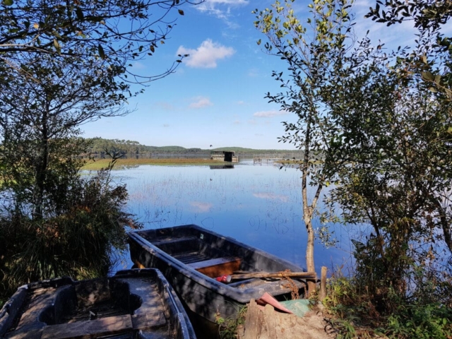 Le long de l'étang d'Aureilhan Le long de l'étang d'Aureilhan