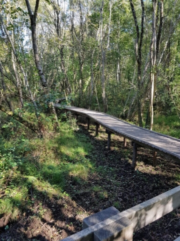 Passerelle lac d'Aureilhan Passerelle lac d'Aureilhan