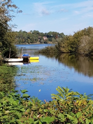 Vue sur le lac après Merqueday Vue sur le lac après Merqueday