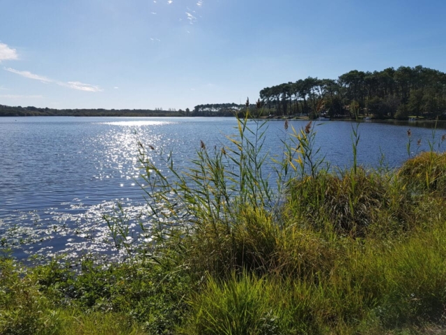 Vue sur le lac d'Aureilhan Vue sur le lac d'Aureilhan