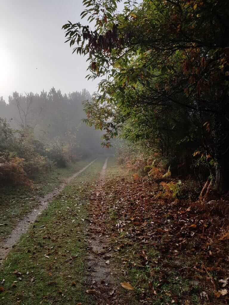 A la sortie du pôle sportif le Guilleman