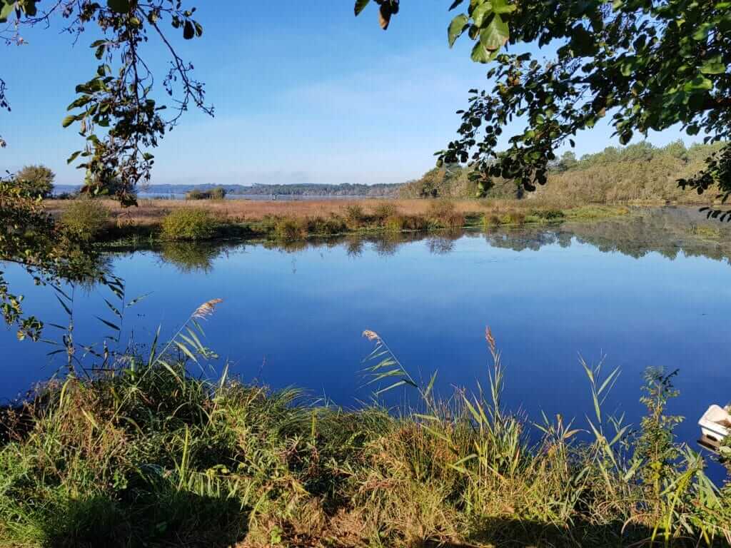Base nautique de l'étang d'Aureilhan (3)