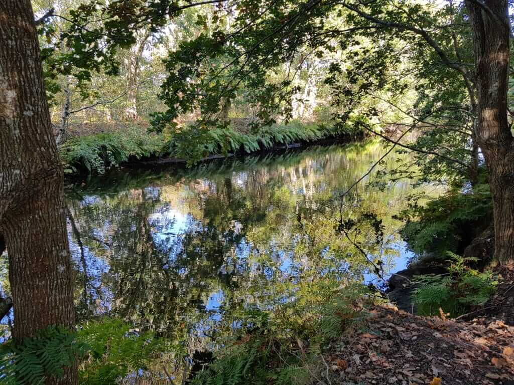 Canal du littoral des Landes