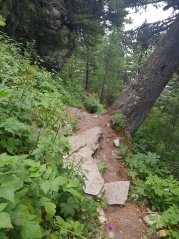 Chemin escarpé pour redescendre sur le Plan d'Amont Chemin escarpé pour redescendre sur le Plan d'Amont