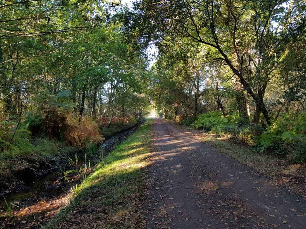 Circuit de Navarrosse Chemin