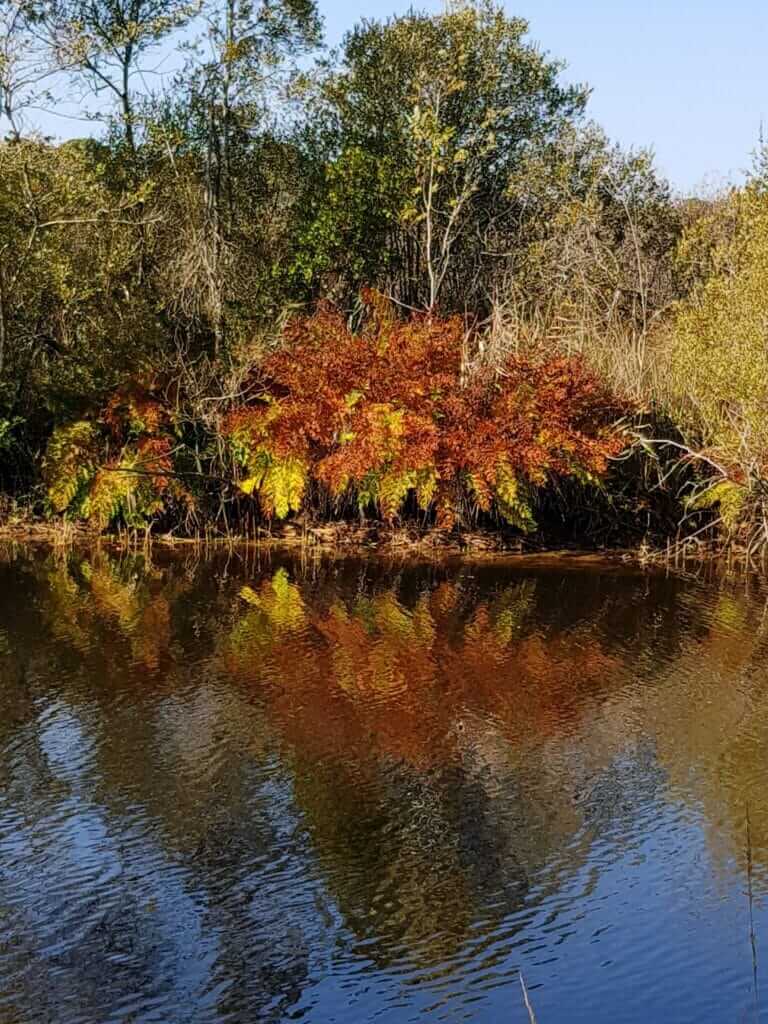 Circuit de Navarrosse Fougères