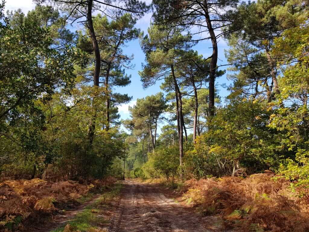 Circuit de Navarrosse Pinède