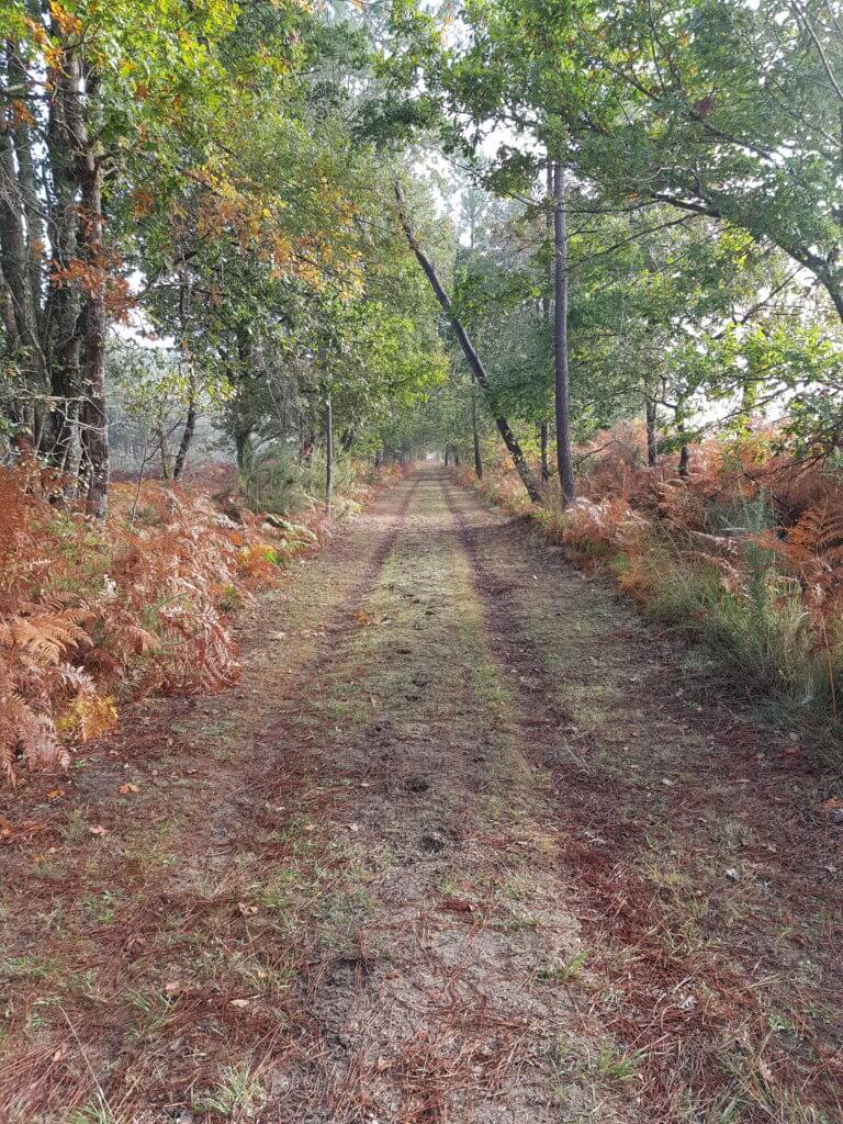 Circuit des Forges Ancienne voie de chemin de fer