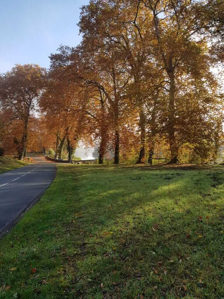 Circuit des Forges Quartier de la Forge (2)
