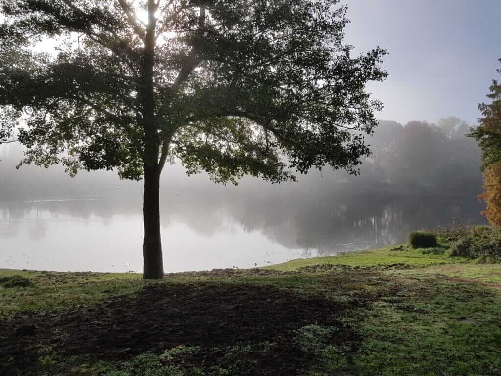 Circuit des Forges Quartier de la Forge (5)
