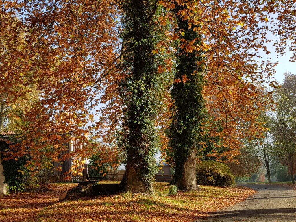 Circuit des Forges Quartier des Forges (4)