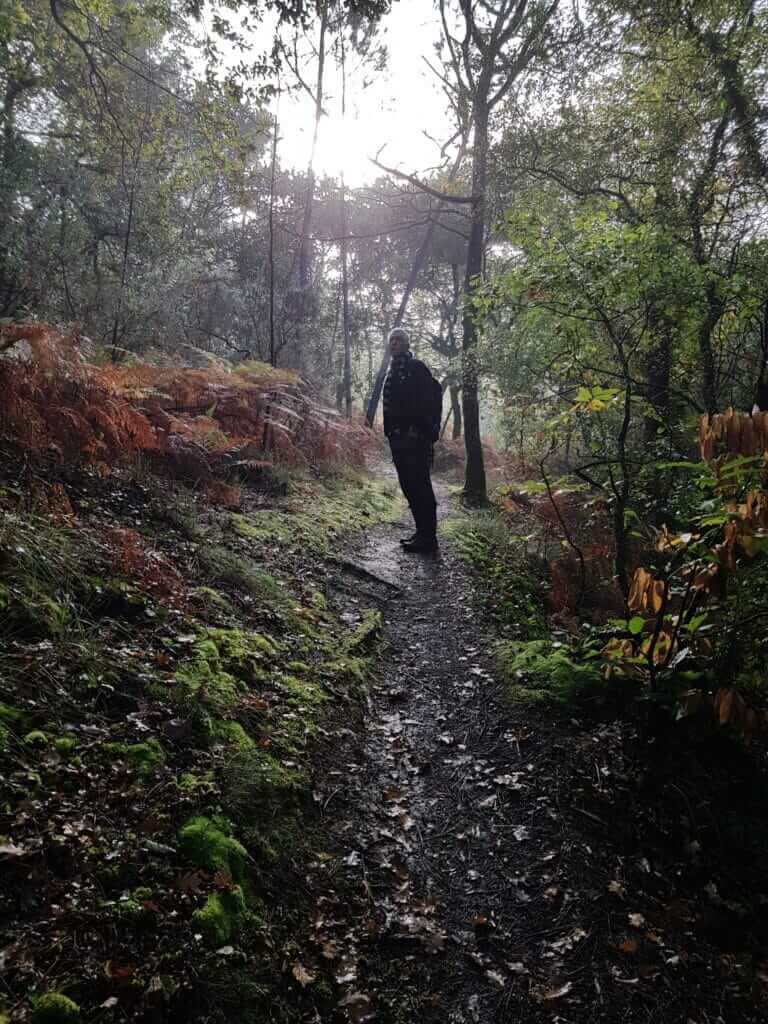 Circuit des Forges Sur le chemin en forêt