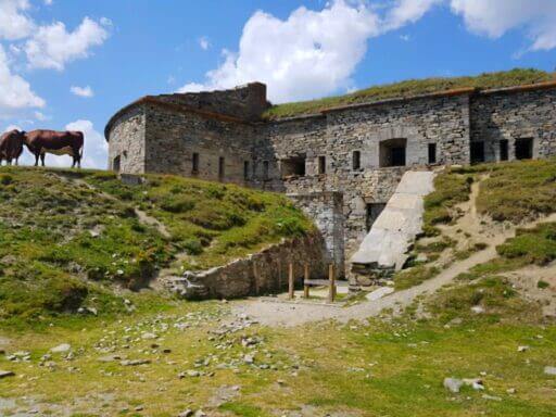 Fort de Ronce Entrée