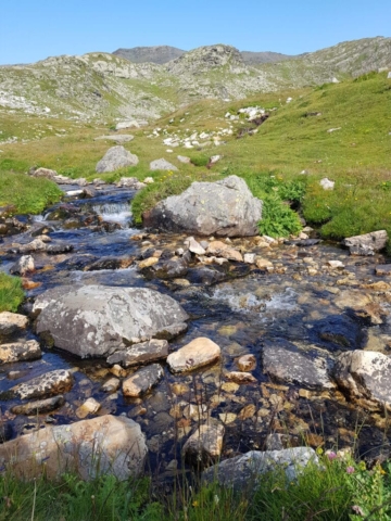 Le charmaix pour sonore Le charmaix pour sonore