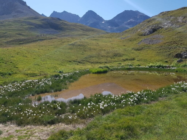Petit étang avant le refuge du mont Thabor (1) Petit étang avant le refuge du mont Thabor (1)