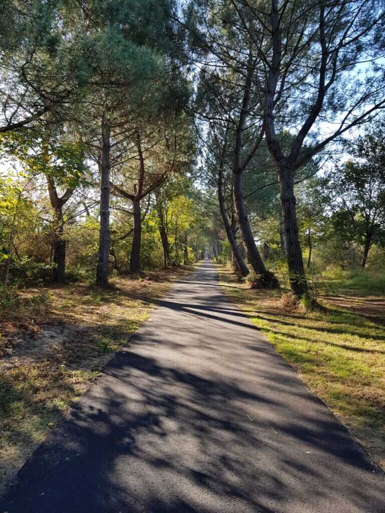 Piste cyclable le long du canal du littoral des Landes