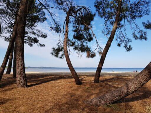 Plage de l'étang de Biscarrosse et de Parentis