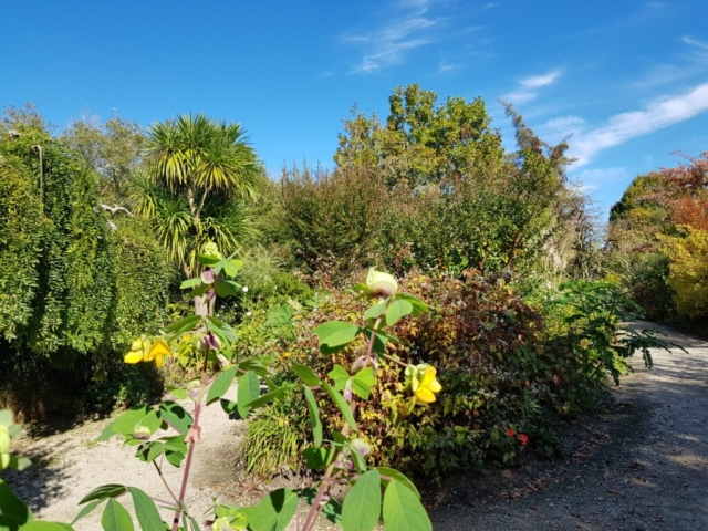Promenade fleurie parterre Promenade fleurie parterre