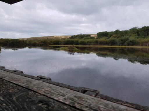 Sentier de la Maillouèyre Etang (2)