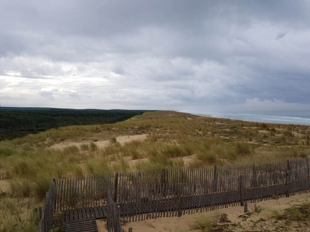 Sentier de la Mallouèyre Derrière la dune (2)